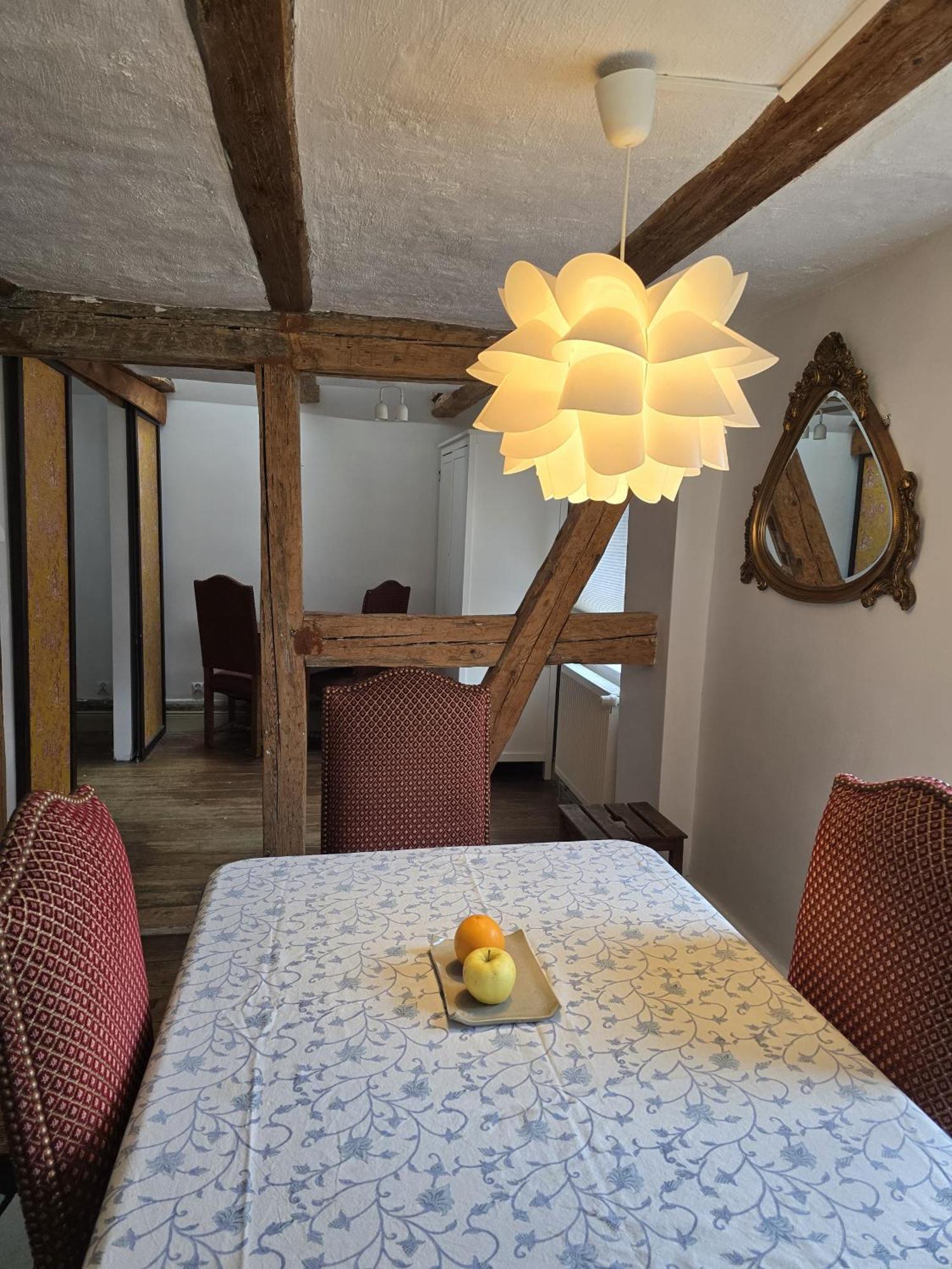 Beau Logement Au Centre D'Alsace Epfig エクステリア 写真